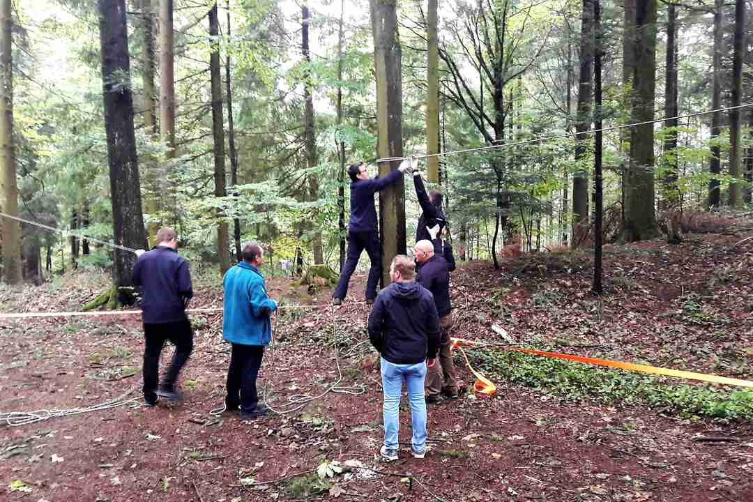 Eine Gruppe errichtet gemeinsam mobile Seilaufbauten zwischen Bäumen im Wald.