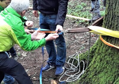 Teilnehmende errichten gemeinsam mobile Seilaufbauten an einem Baum.