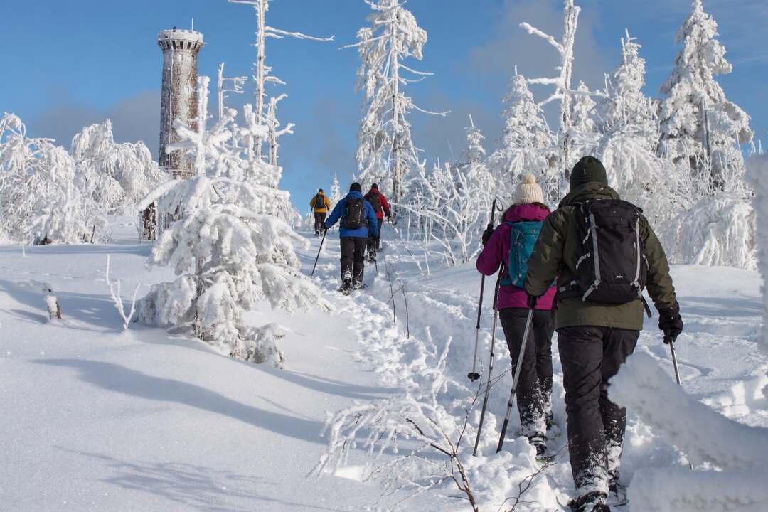 Teilnehmende einer Schneeschuhtour auf dem Weg zu einem Aussichtsturm