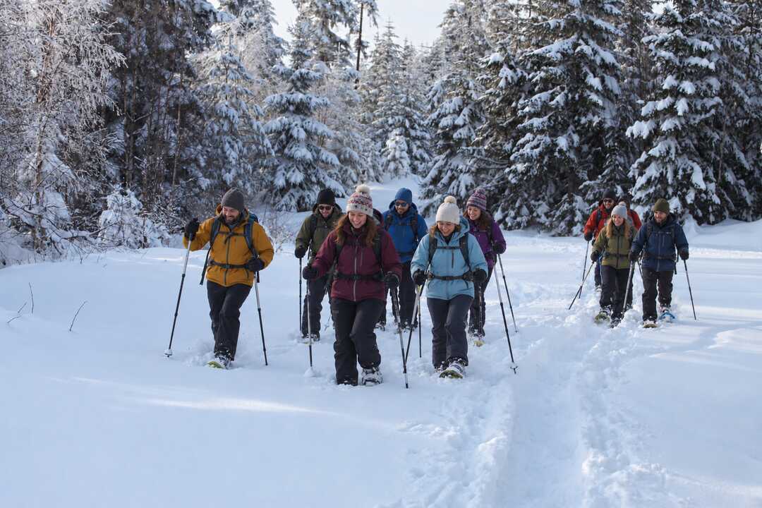Gruppe bei einer geführten Schneeschuhtour durch einen verschneiten Winterwald