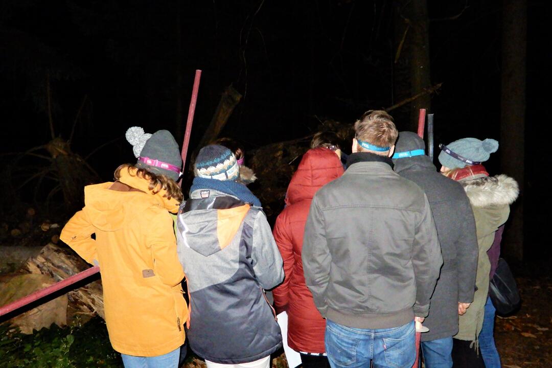 Gruppe mit Stirnlampen bei einer nächtlichen Orientierungstour im Wald